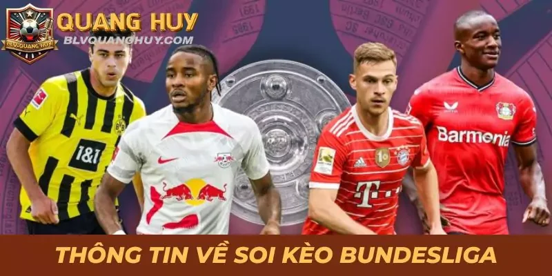 Thủ Thuật Soi Kèo Bundesliga Đơn Giản Giúp Thắng Tiền Tỷ 1 Những thông tin cần nắm trước khi soi kèo Bundesliga